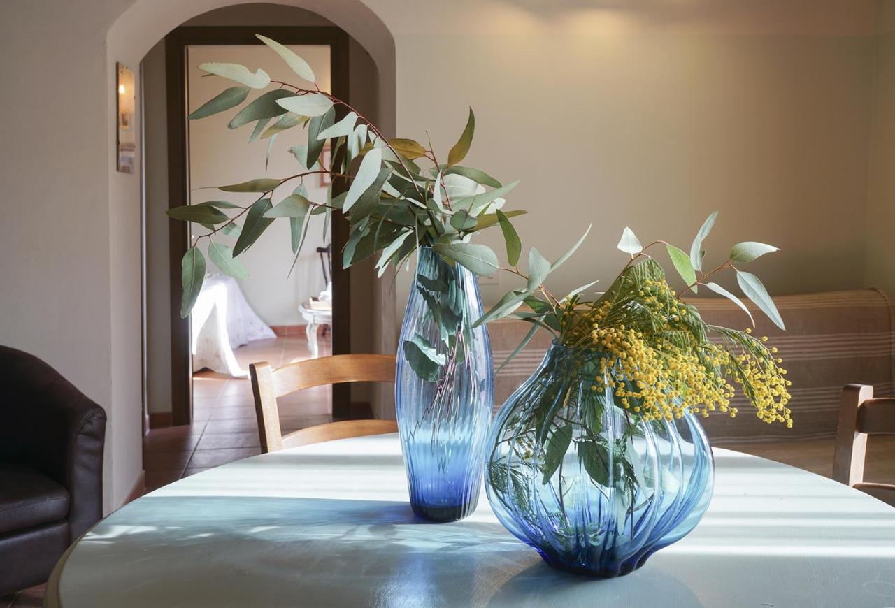 Locanda Degli Alberi Sassetta Exteriér fotografie