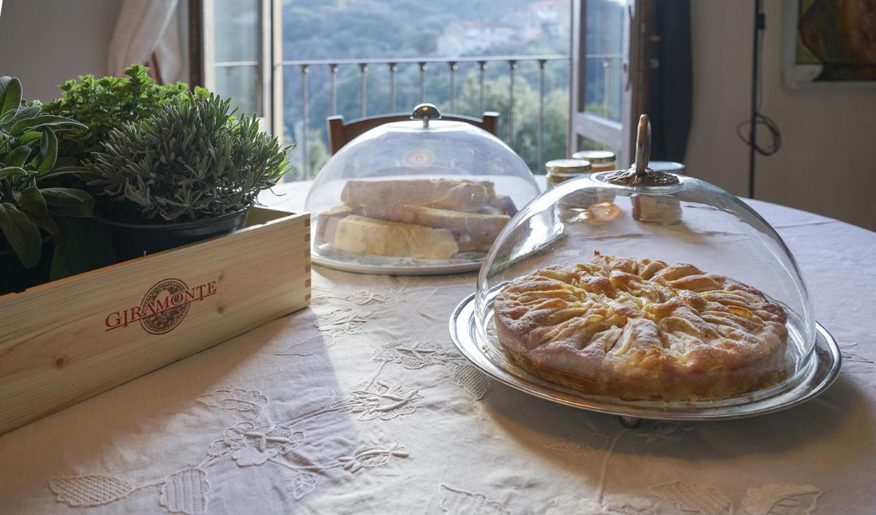 Locanda Degli Alberi Sassetta Exteriér fotografie