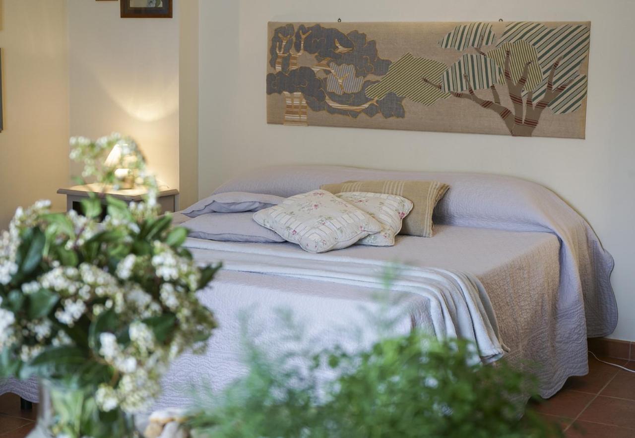 Locanda Degli Alberi Sassetta Exteriér fotografie