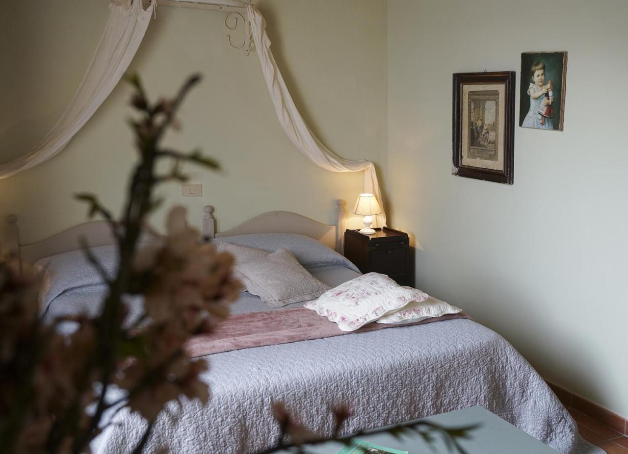 Locanda Degli Alberi Sassetta Exteriér fotografie